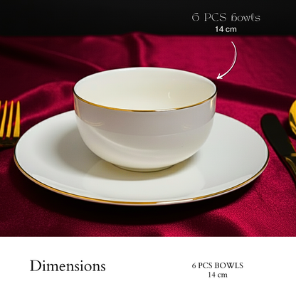 Delicia porcelain Aureline dinnerware set of gold lined 24 PCS